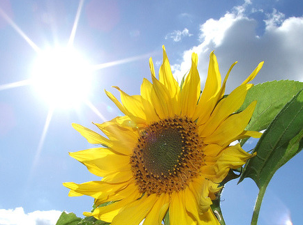 blazingsun