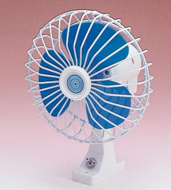 fan