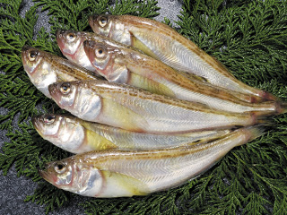 hatahata