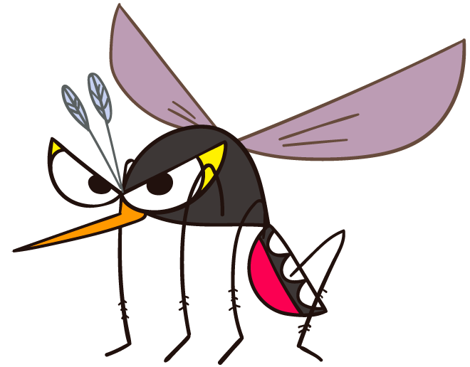 mosquito