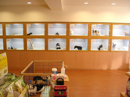 petshop