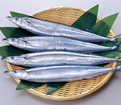 sanma