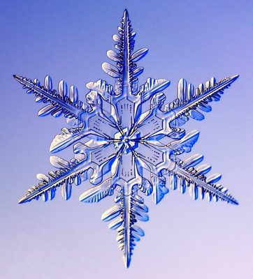 snow