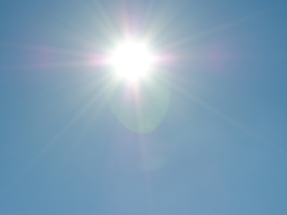sunlight