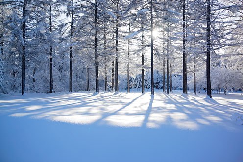 winter