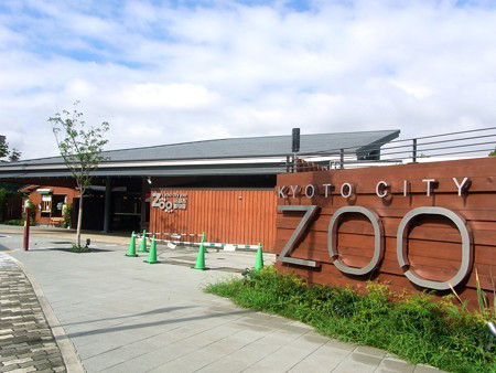 zoo